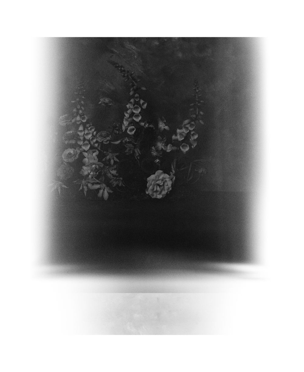 Black and white ethereal photograph of delicate flowers with vignette edges.