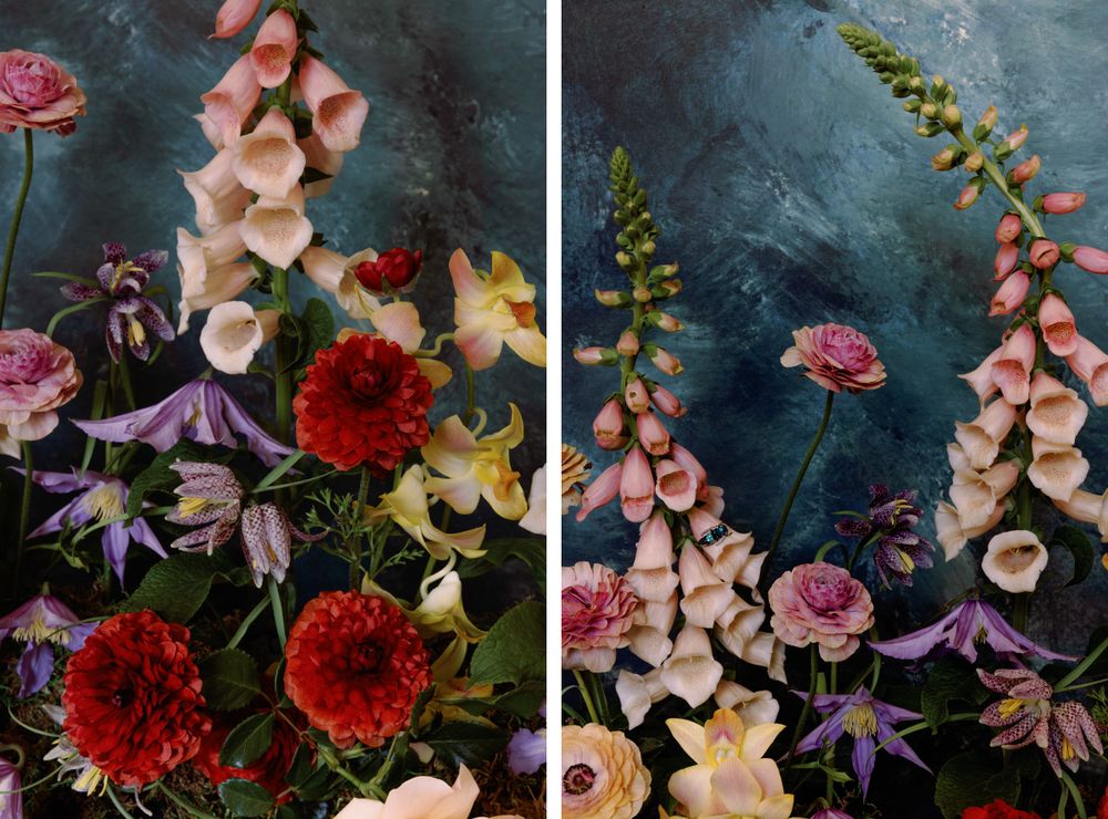 Vibrant flower arrangement with pink foxgloves, red dahlias, and purple clematis against a dark moody backdrop.