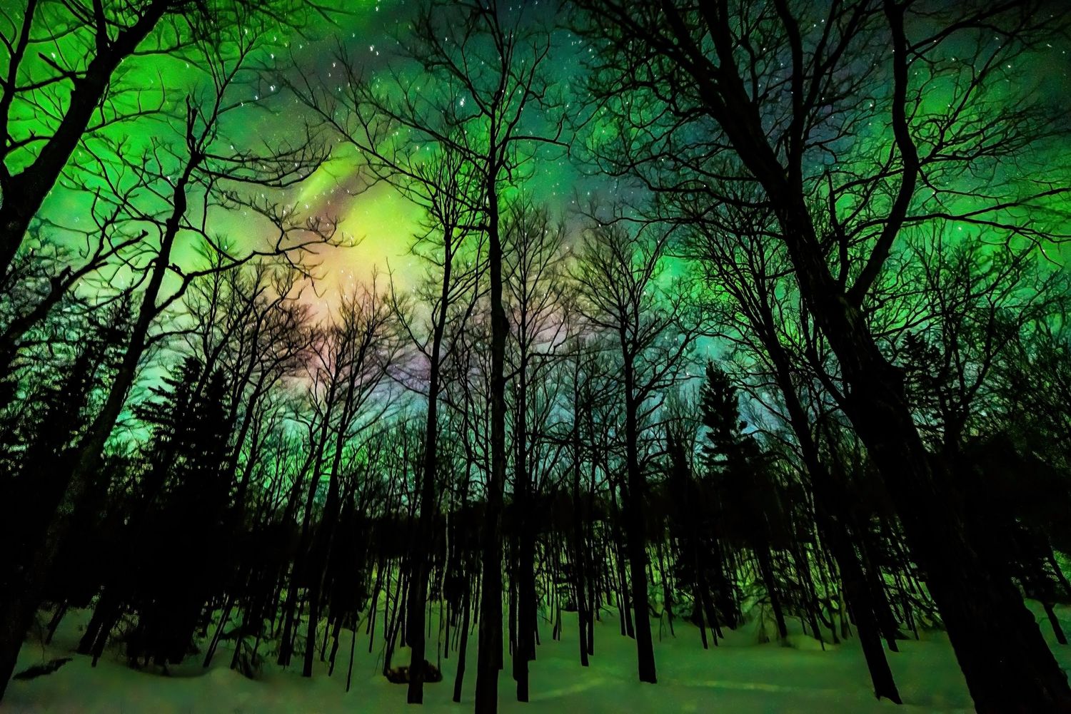 "Through My Window"  Light up the Night March 2023