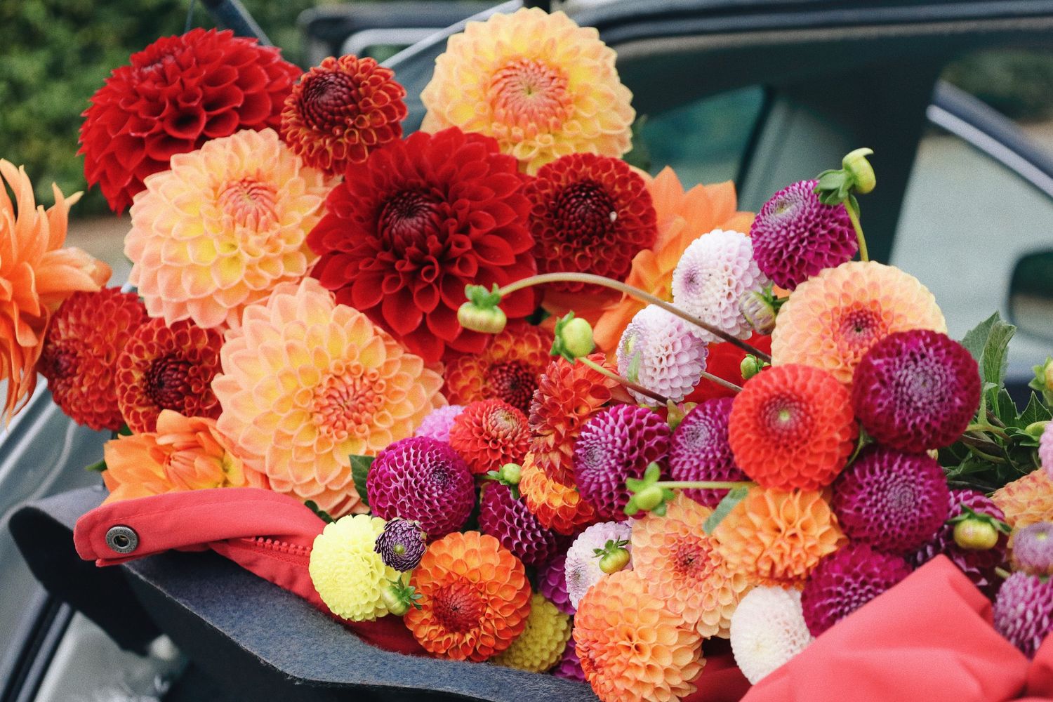 Vibrant arrangement of red and orange dahlias with mixed flowers.
