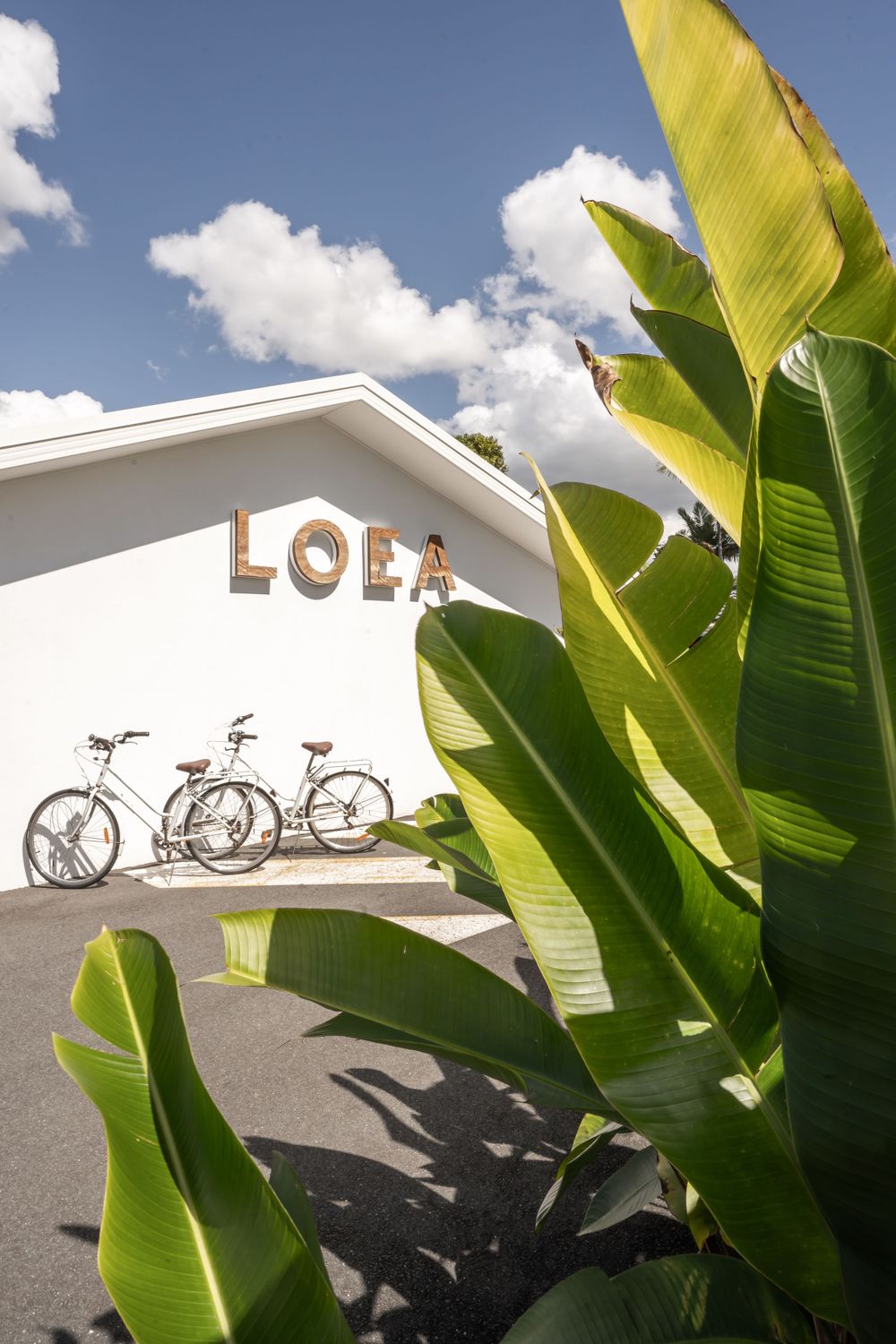 Tropical banana leaves frame a white building with 'LOEA' signage and parked bicycles against a blue sky.