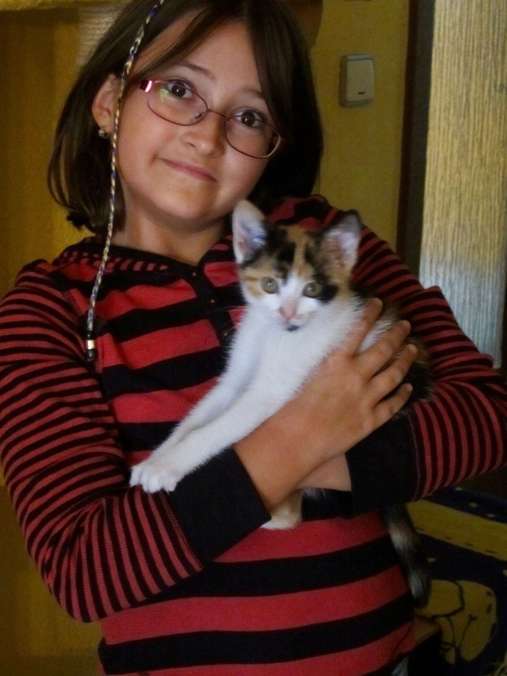 Young girl with glasses in red striped shirt holding a small calico kitten while smiling at the camera.