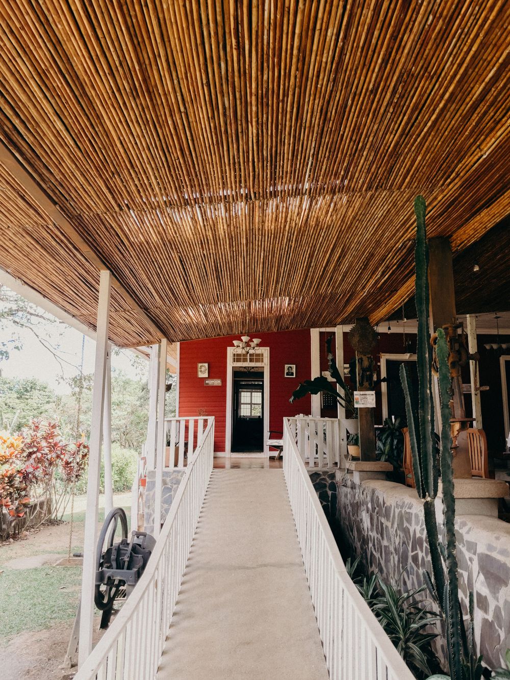 Covered walkway with bamboo ceiling leading to a red building entrance, flanked by white railings and tropical plants.