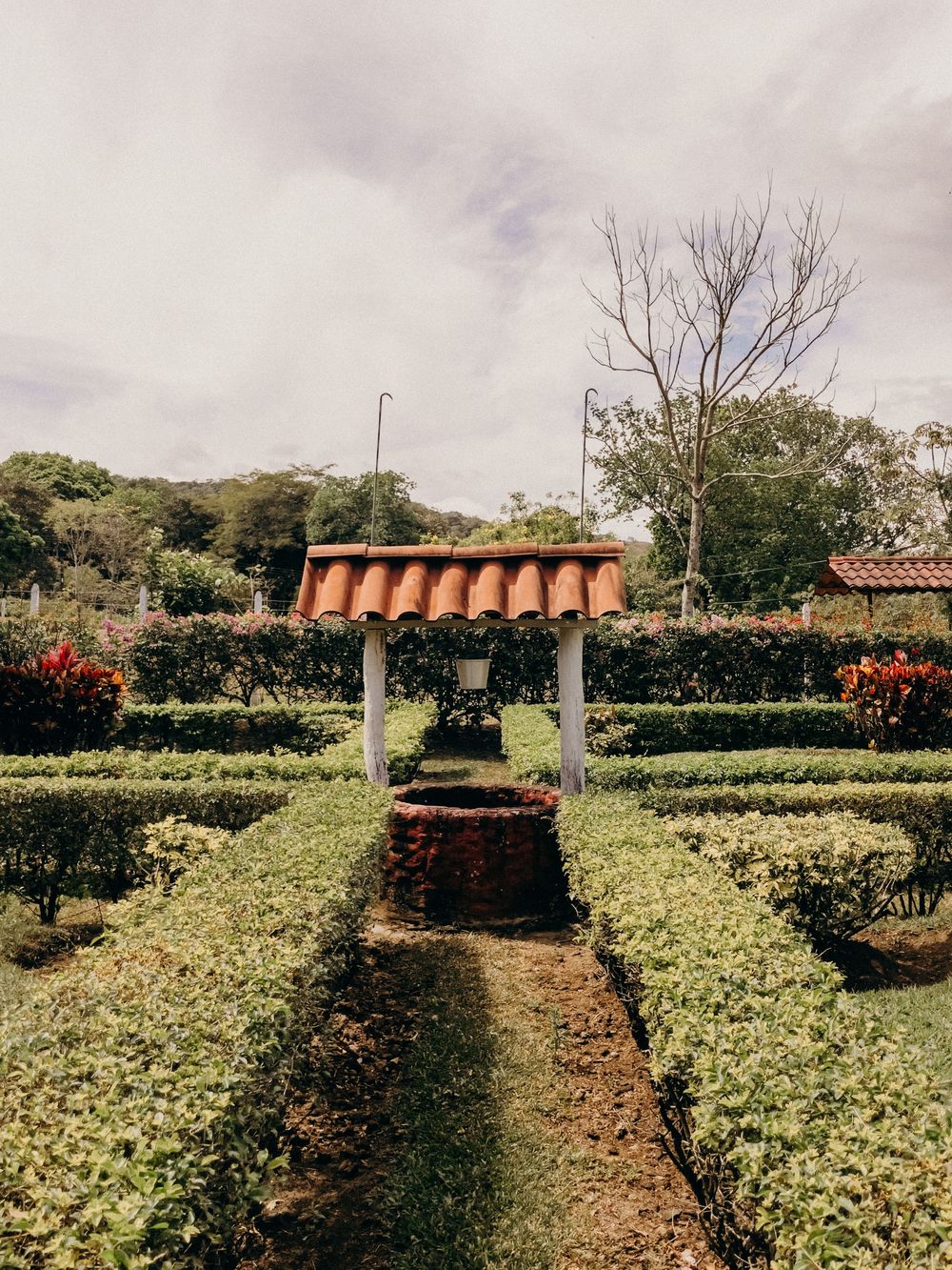 A formal garden with neatly trimmed hedges leading to a rustic well with a terracotta tile roof canopy.