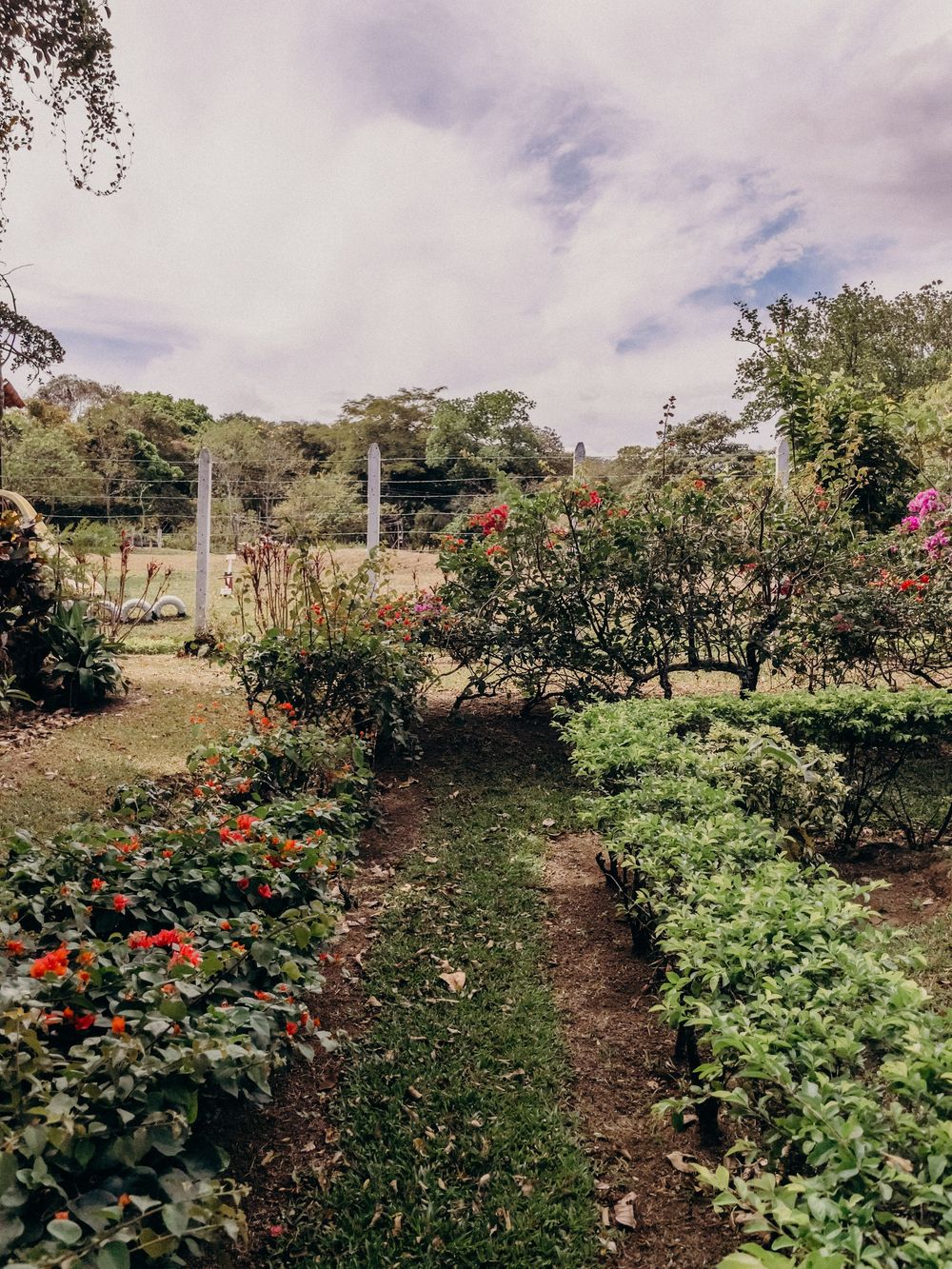 A lush garden path lined with colorful flowers and shrubs leads to a metal gate under a partly cloudy sky.