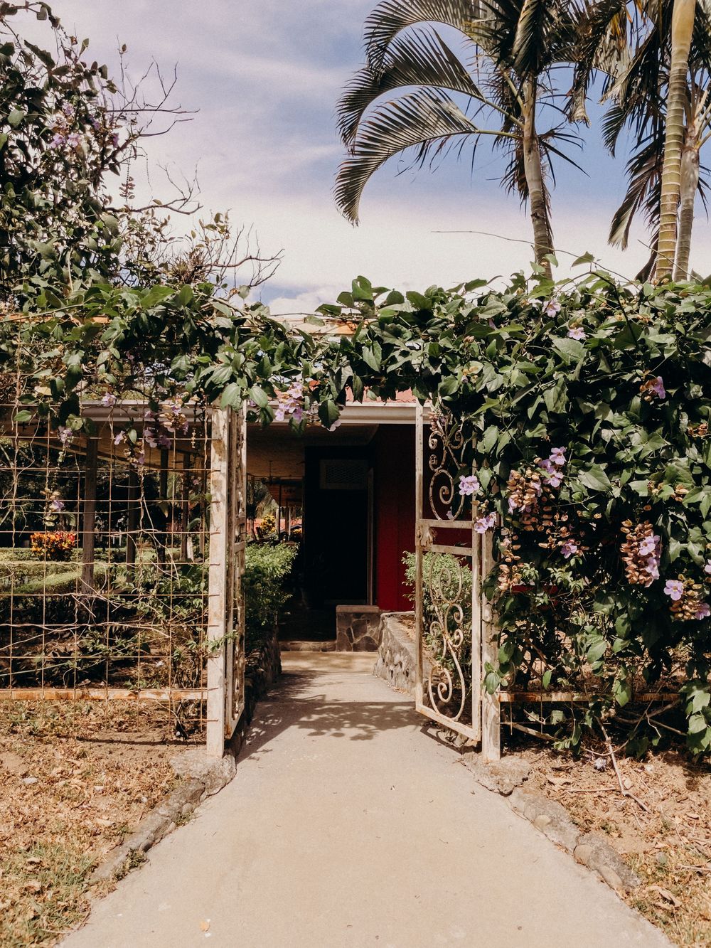 Ornate iron garden gate covered in lush purple flowering vines leads to a charming tropical cottage pathway.