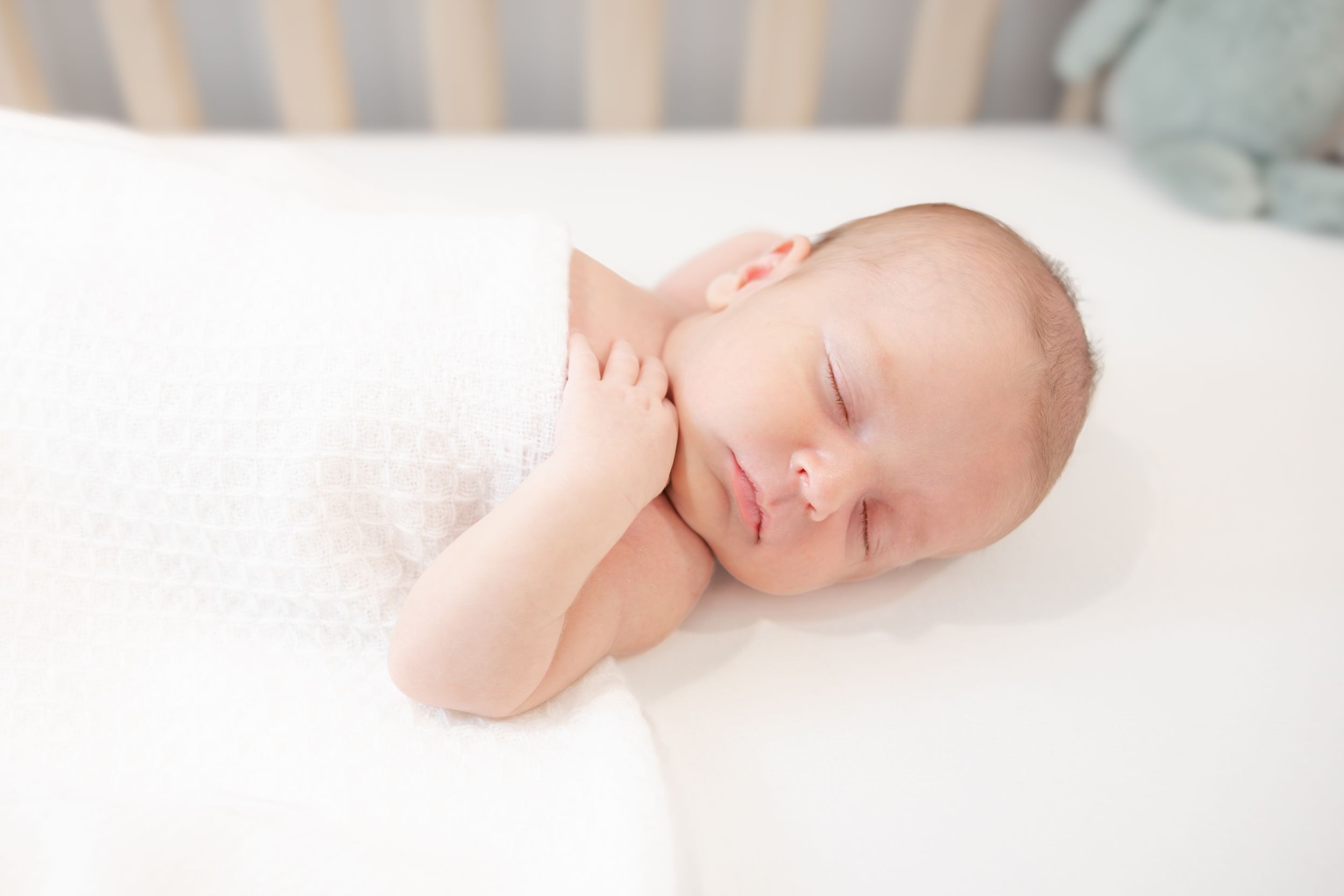 Family Newborn Hutchinson Orchid Island Beach Photography Portraits Session Sebastian Vero Beach Florida Photographer