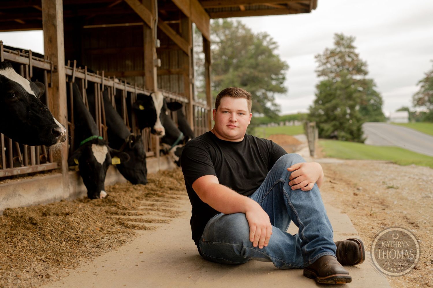 Someone sits on ground outside dairy barn with Holstein cows visible through feeding stalls.