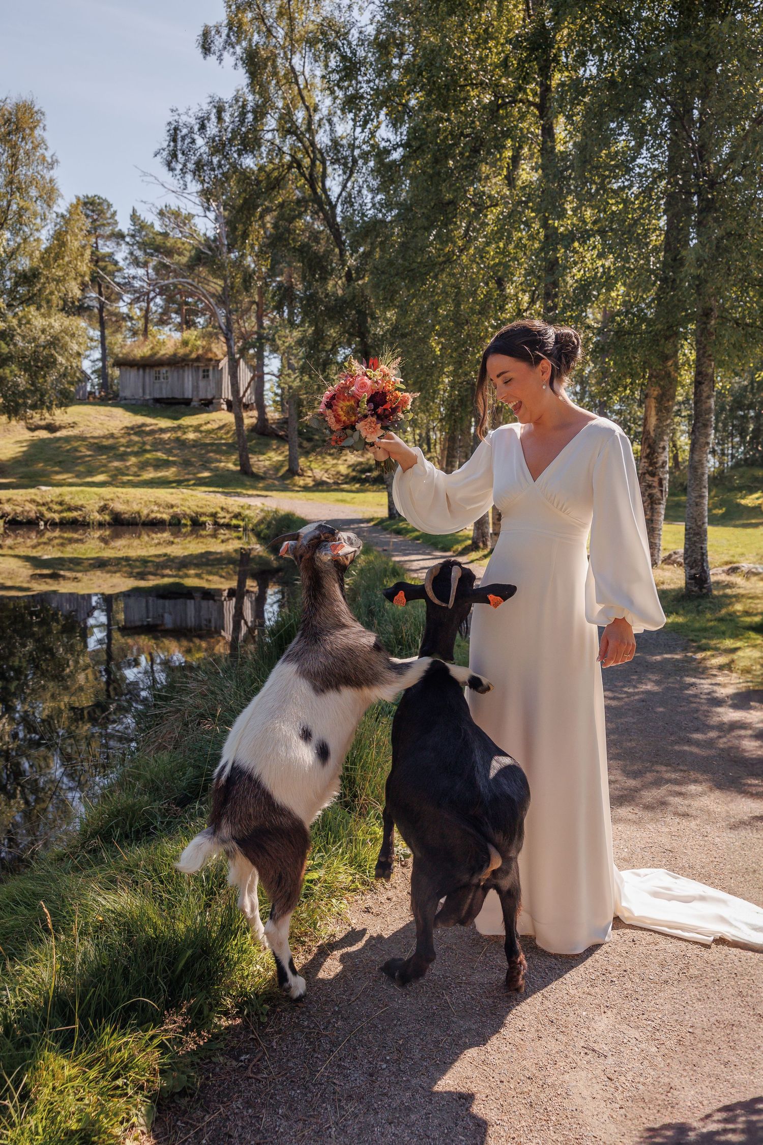 Bride in white dress holds bouquet while two dogs jump up excitedly by a pond.