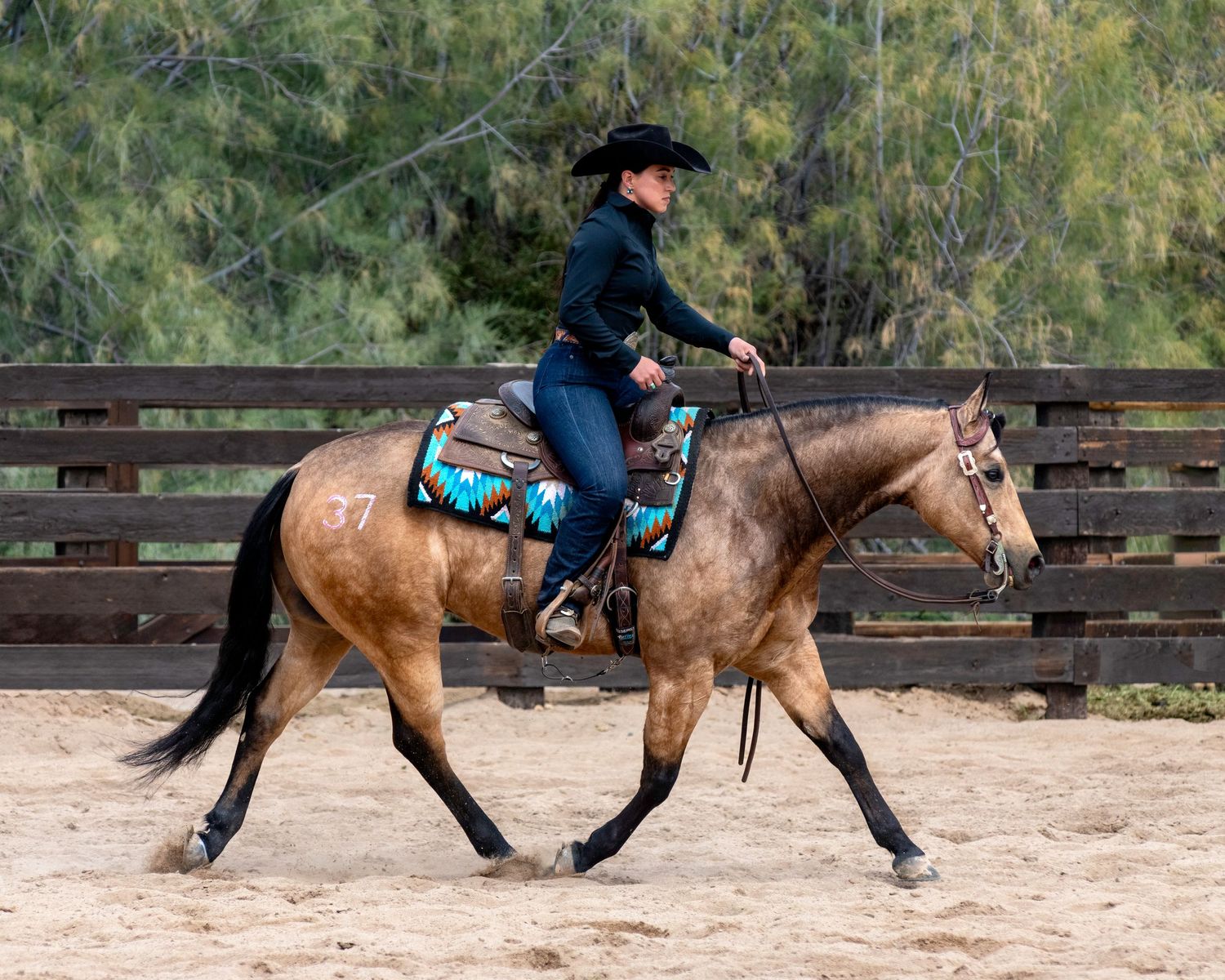 Western rider in arena demonstrating horseback riding techniques.