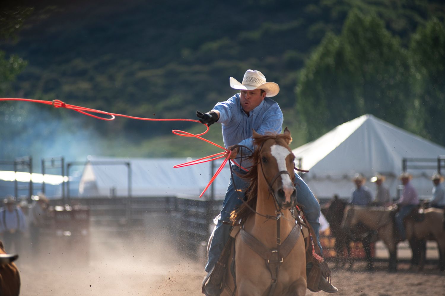 Rodeo competitor with lasso riding horse in dusty arena at sunset.