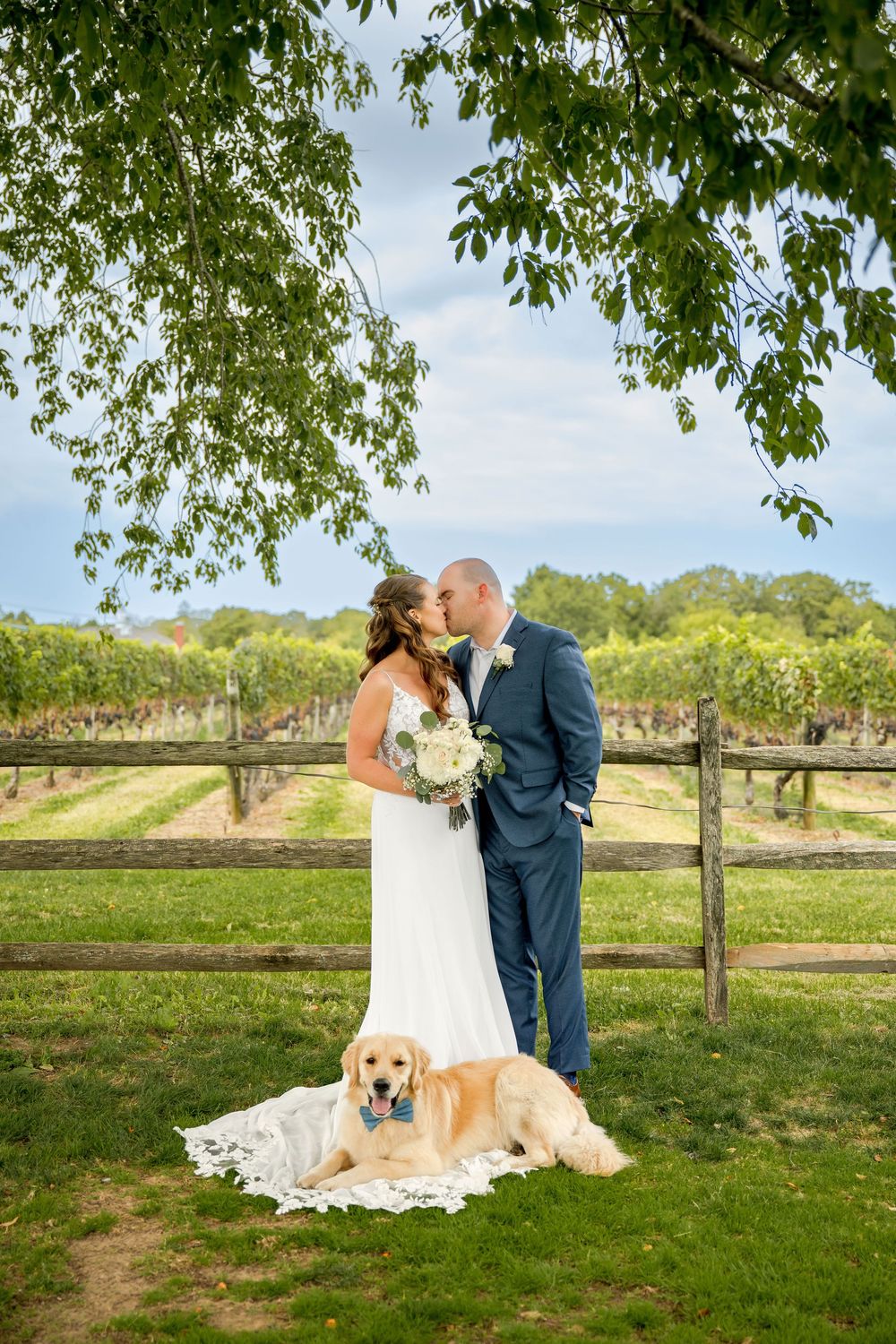 Wedding couple shares romantic moment in vineyard with golden retriever dogs laying beside them on grass.