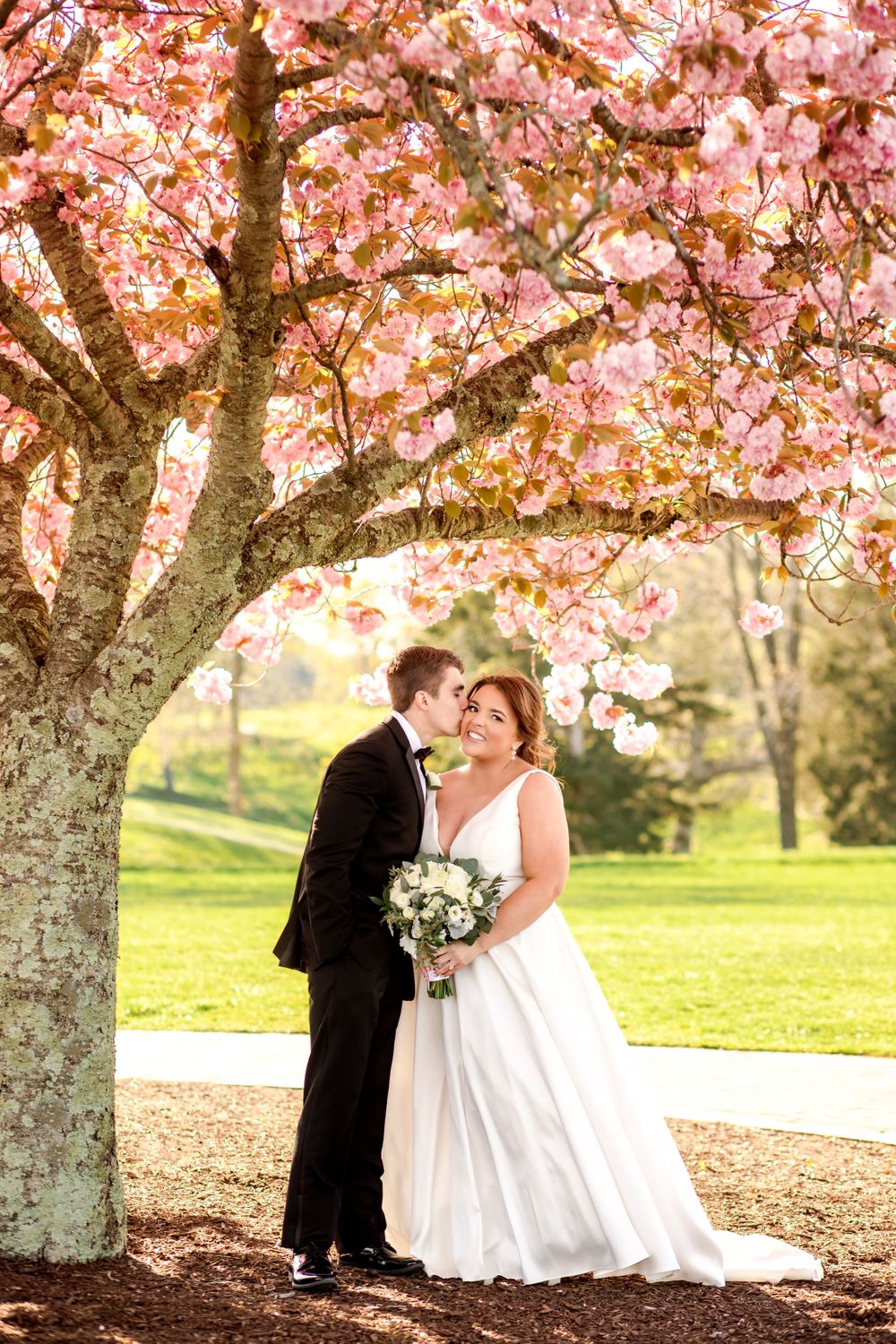 A romantic wedding couple embraces under a blooming cherry blossom tree in spring.