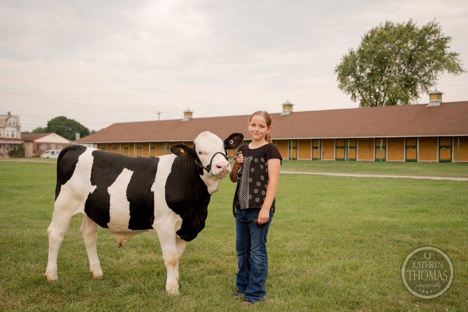 A person stands next to a large black and white dairy cow on a grassy field with farm buildings in background.