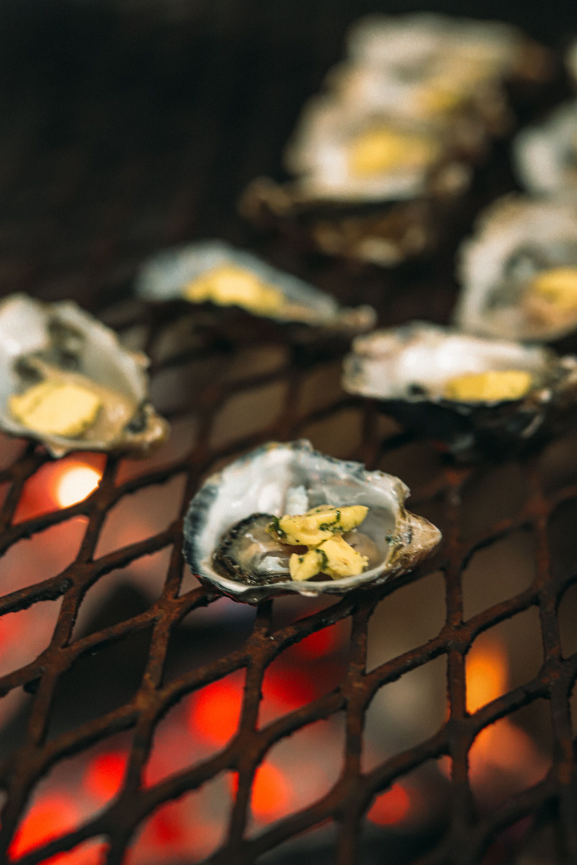Grilled oysters with melted butter on a hot grill with glowing coals beneath.