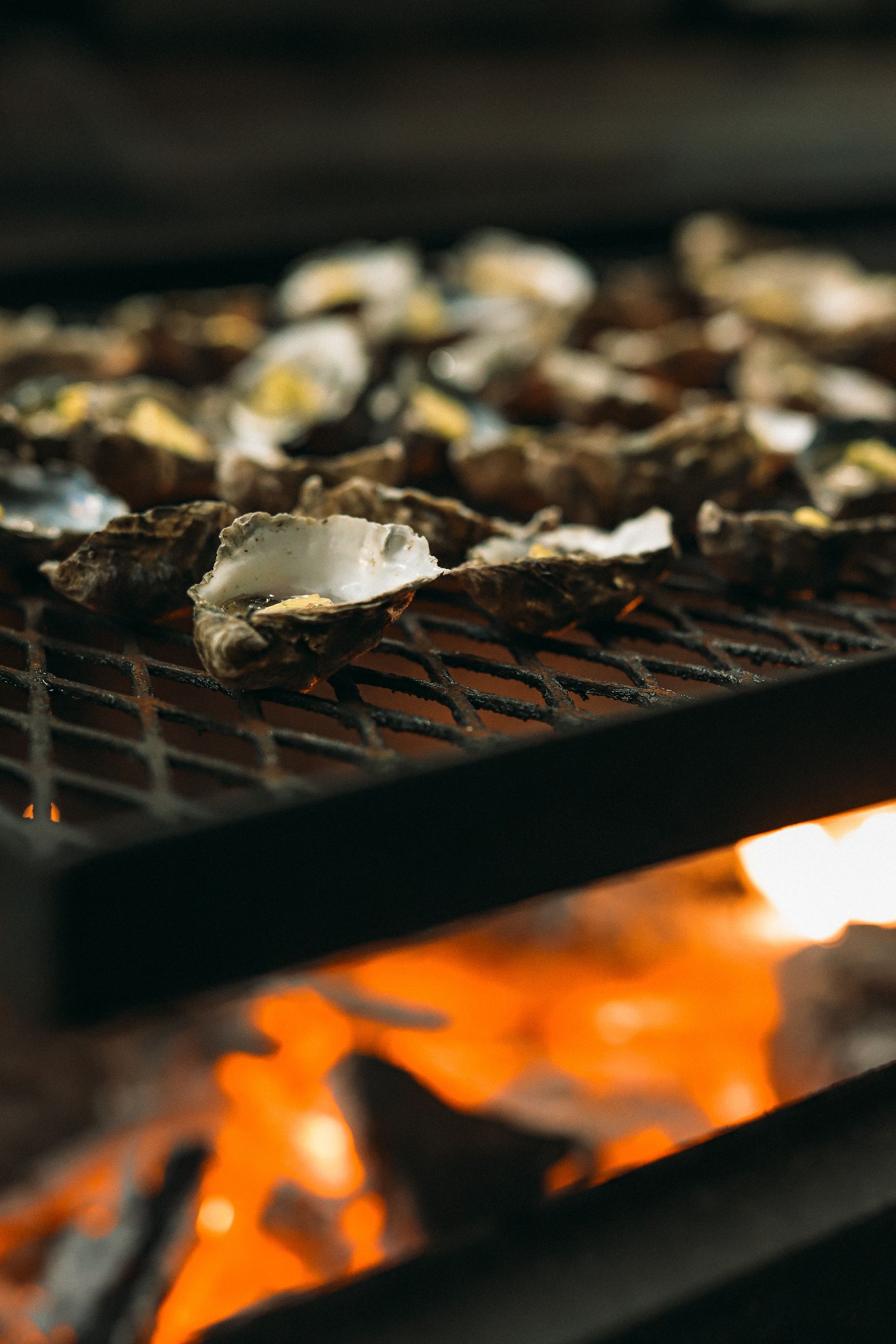 Oysters grilling over hot flames on a metal grate.
