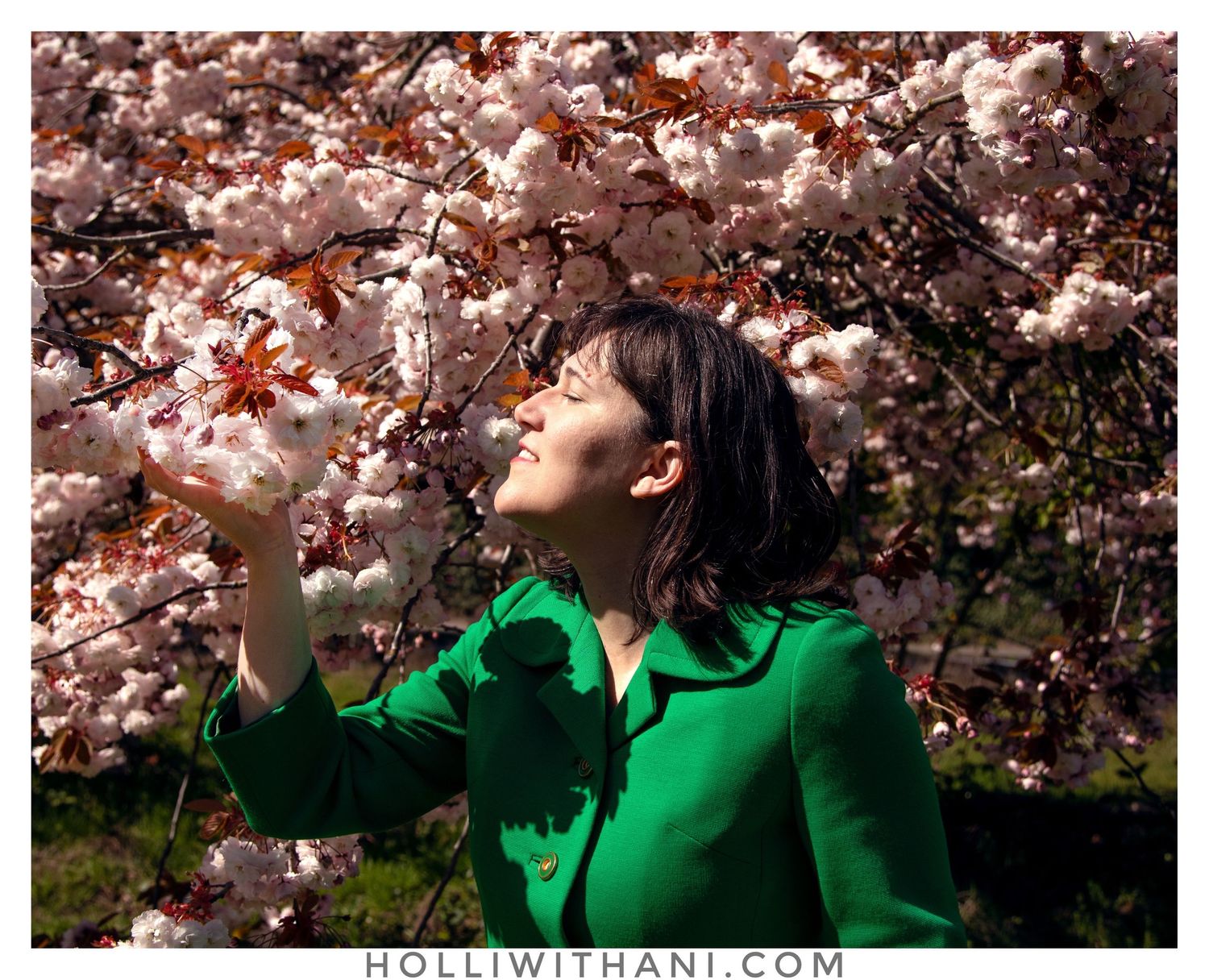 Woman wearing green coat facing pink cherry blossoms with sunshine.