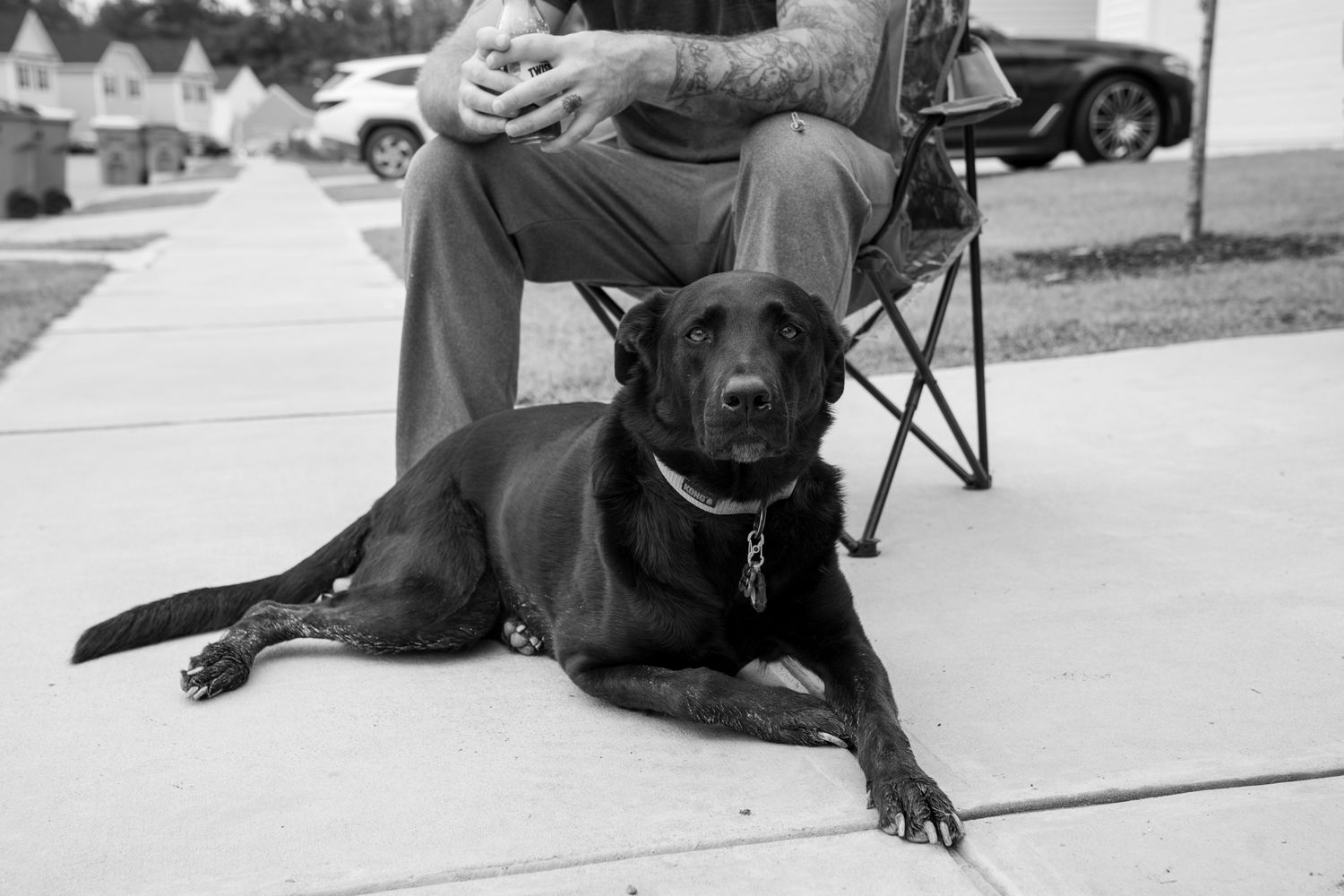 A black dog rests on the sidewalk next to a folding chair in black and white.