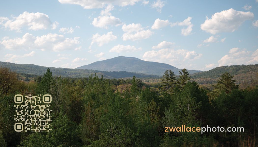 zwallace photo business card - front