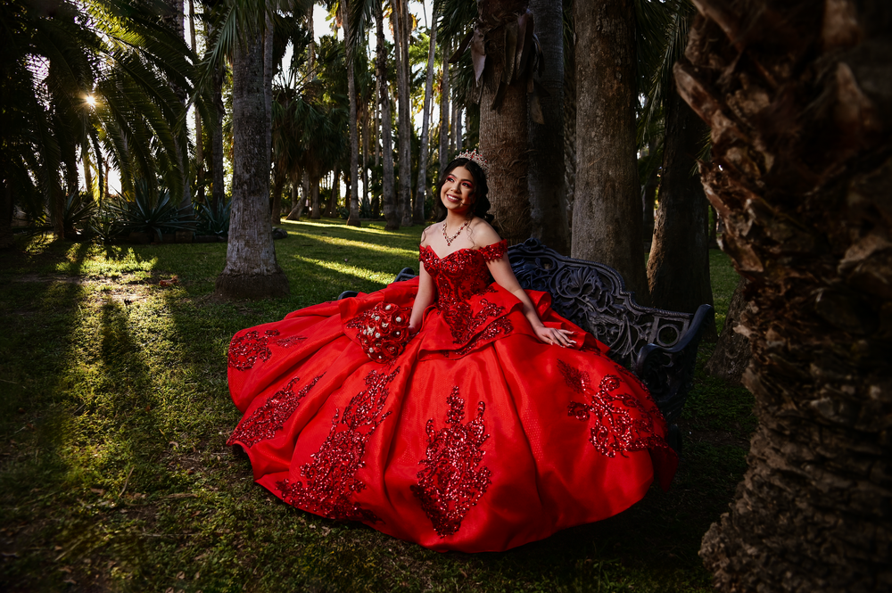 Luxurious red ball gown photographed in a palm tree grove with golden sunlight.