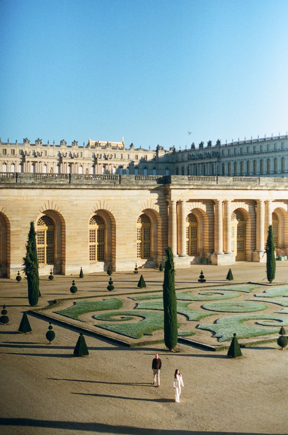 Ornate formal gardens with geometric patterns and cypress trees at the Palace of Versailles in France.