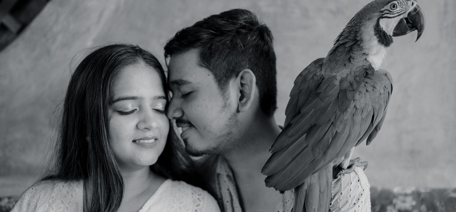 A romantic black and white portrait featuring a macaw parrot perched beside a tender moment.