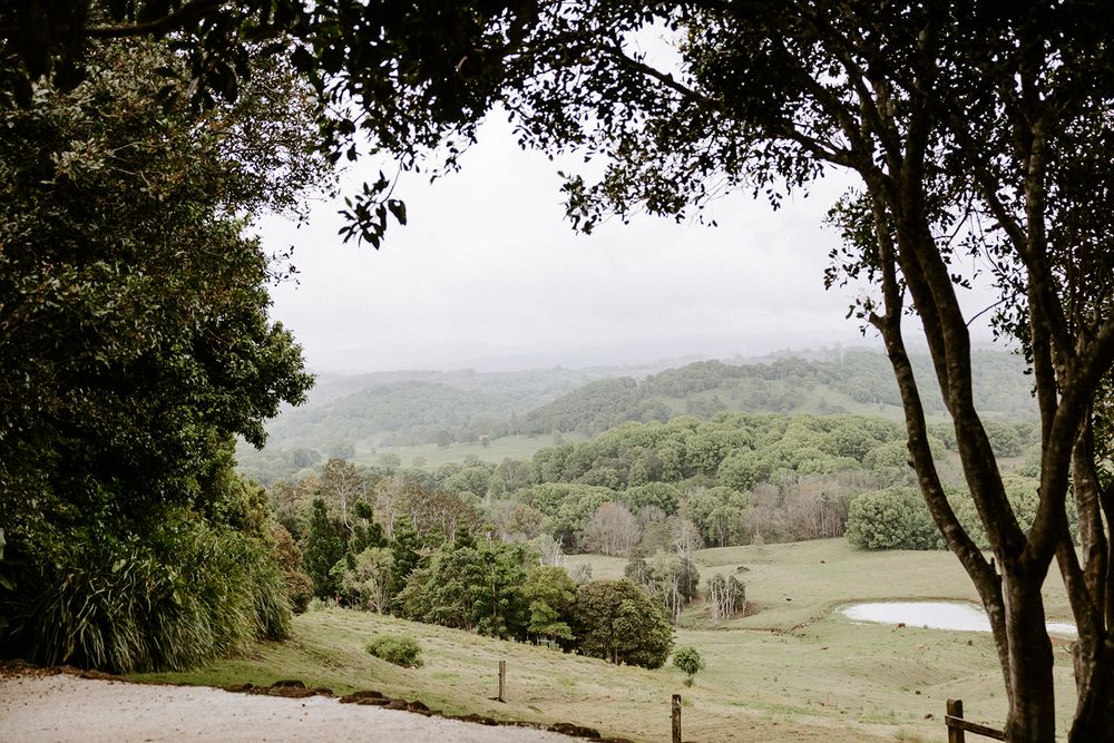 Misty rolling hills and countryside viewed through a natural frame of trees on an overcast day.