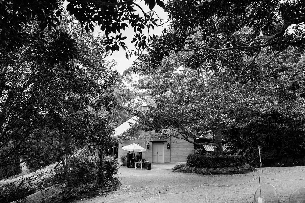 A serene black and white landscape photo shows a winding path through trees with a small building in the distance.
