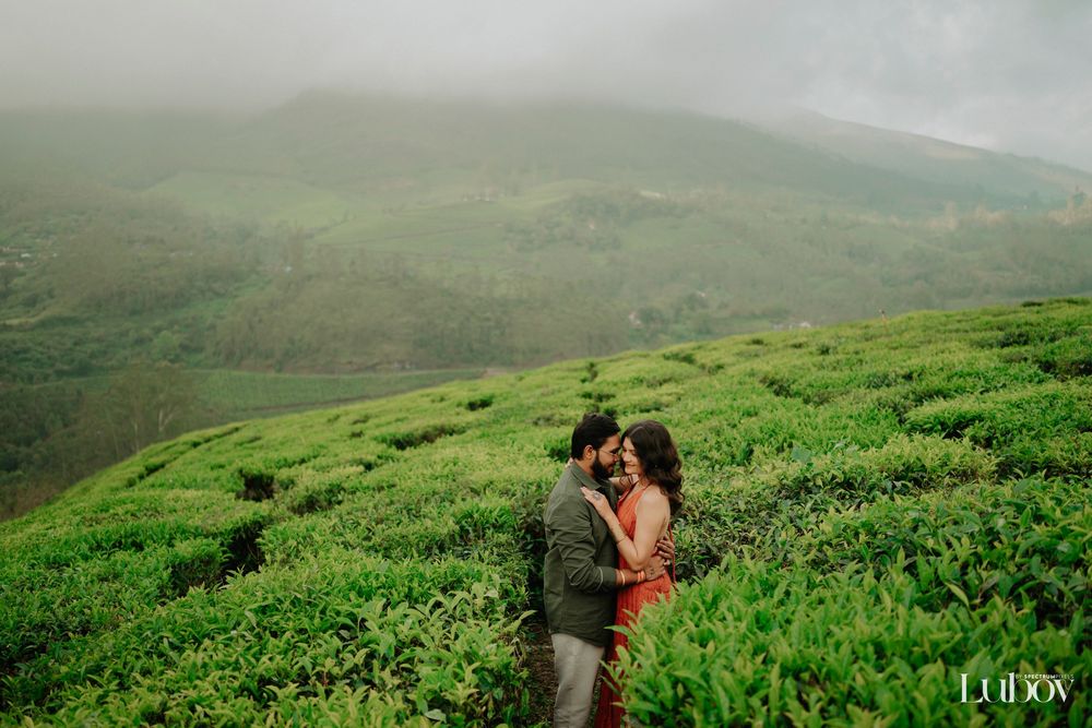 Rolling green hills covered in lush tea plantations stretch into the misty distance on a cloudy day.