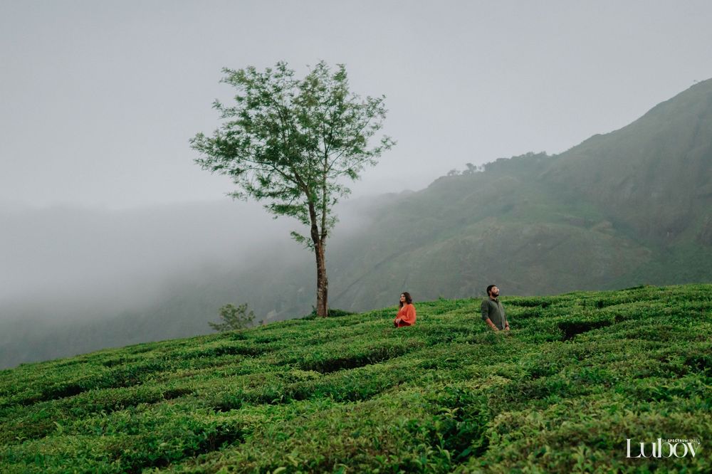 Two people sit on a misty green hillside near a solitary tree in a tranquil mountain landscape.