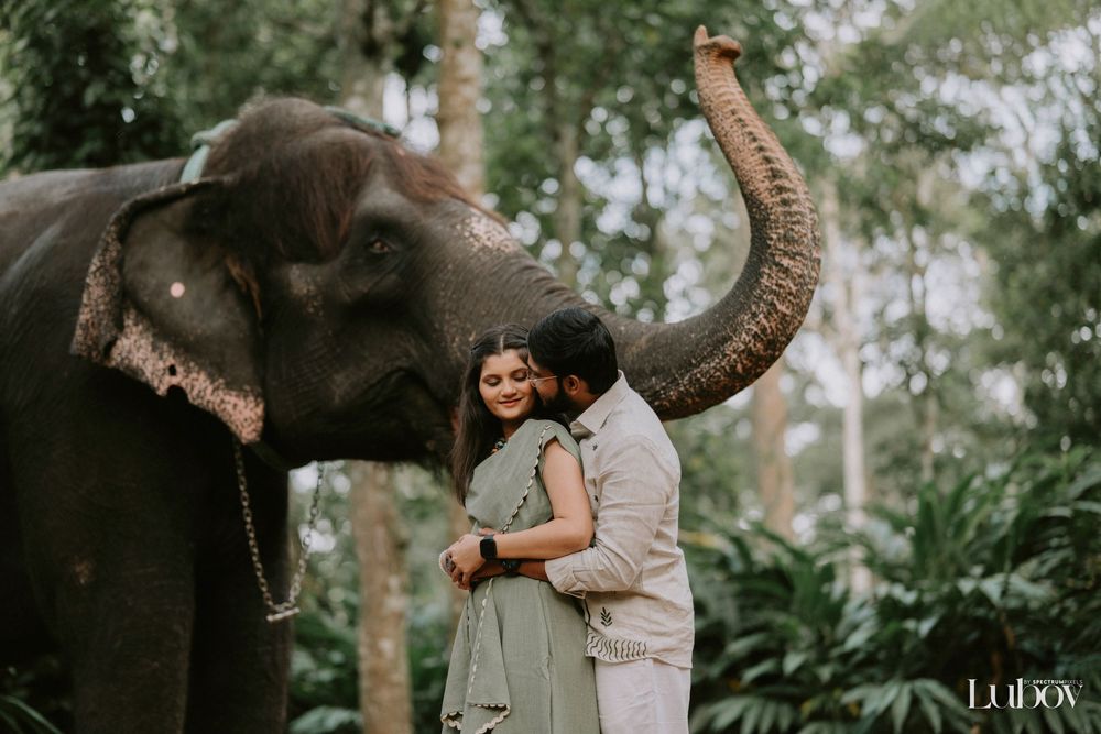 Couple embraces under lush green trees during an outdoor photoshoot.