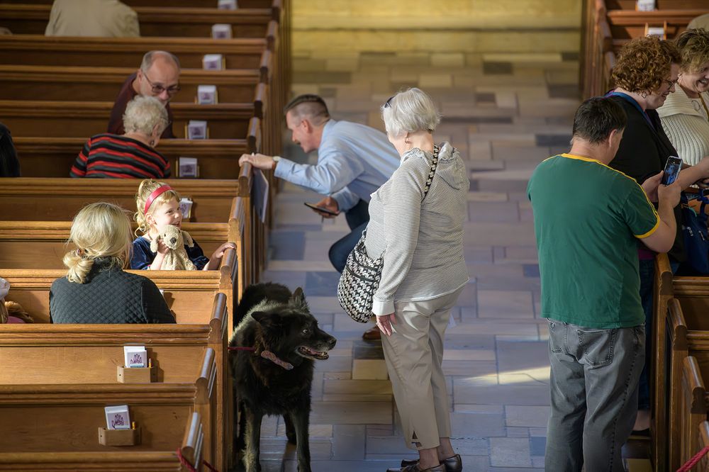 People and service dog interact during a church service while seated in traditional wooden pews.