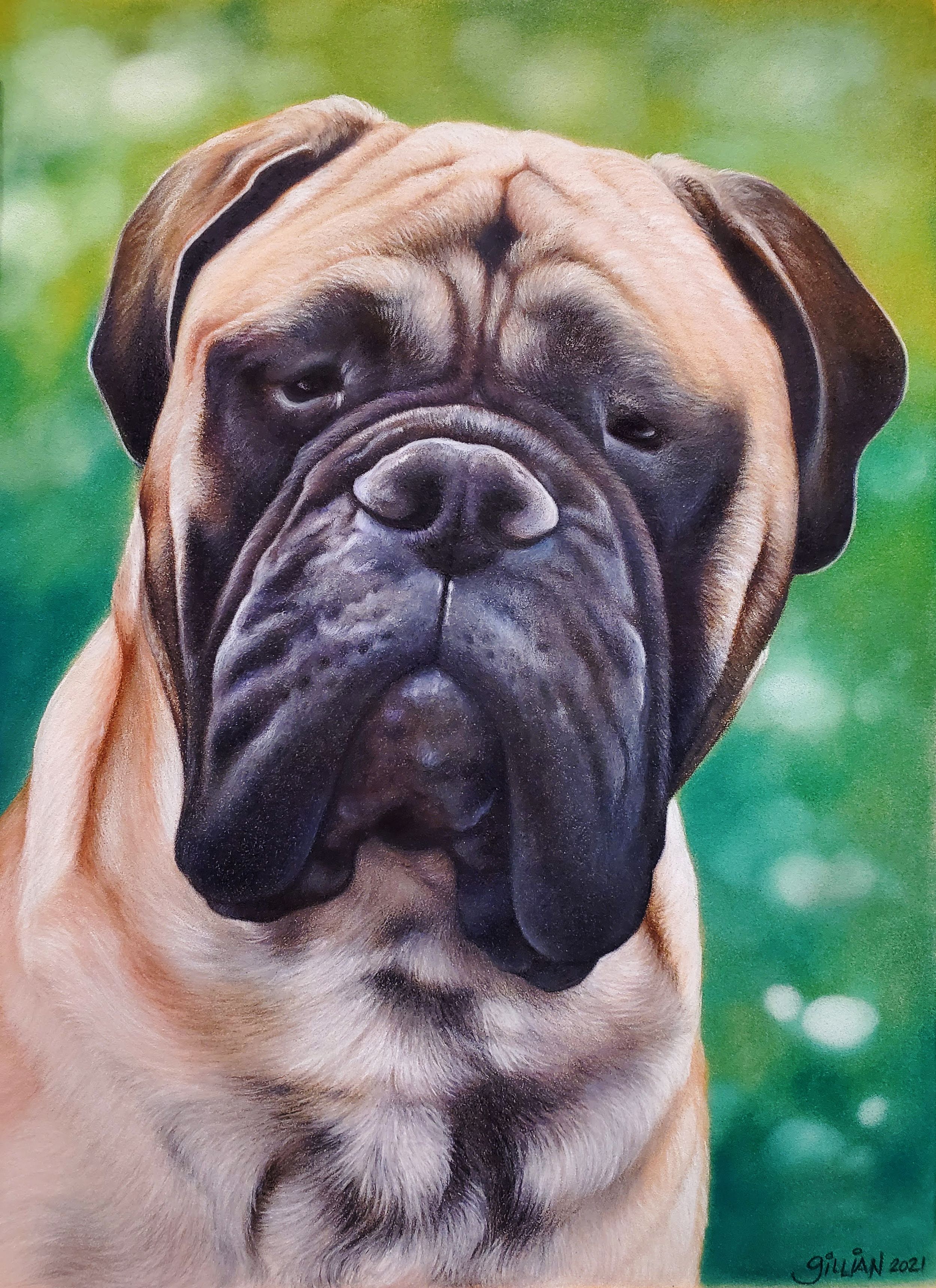 Close-up portrait of a wrinkled Bullmastiff with a tan coat against green foliage.