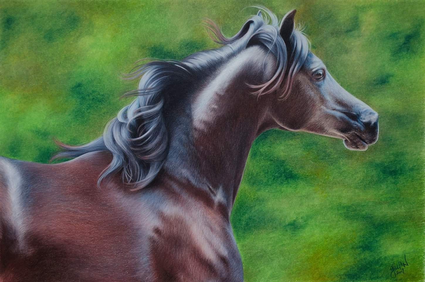 Realistic drawing of a majestic roan horse with flowing mane against a green background.