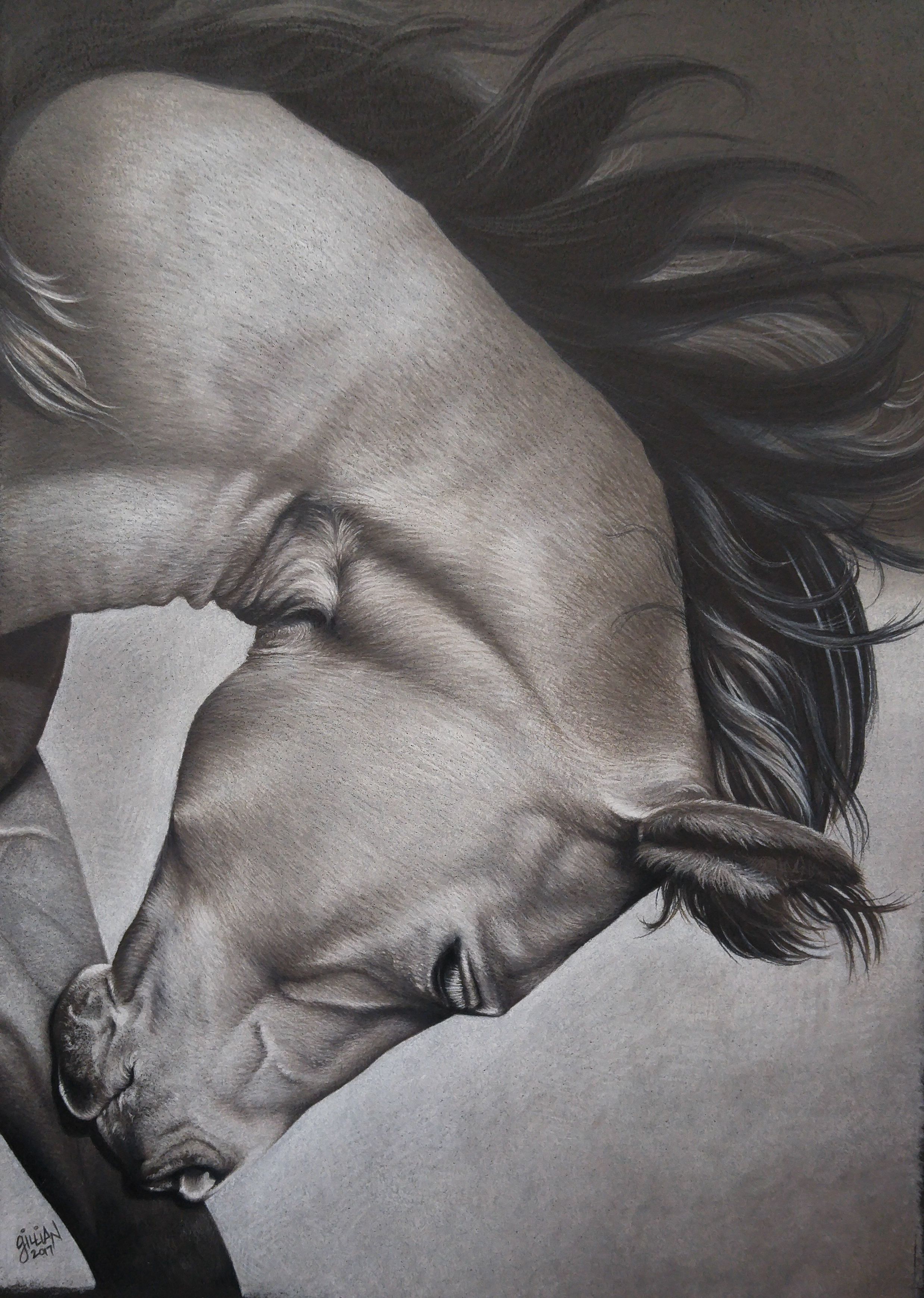 Dramatic black and white illustration of a horse with flowing mane in downward motion.