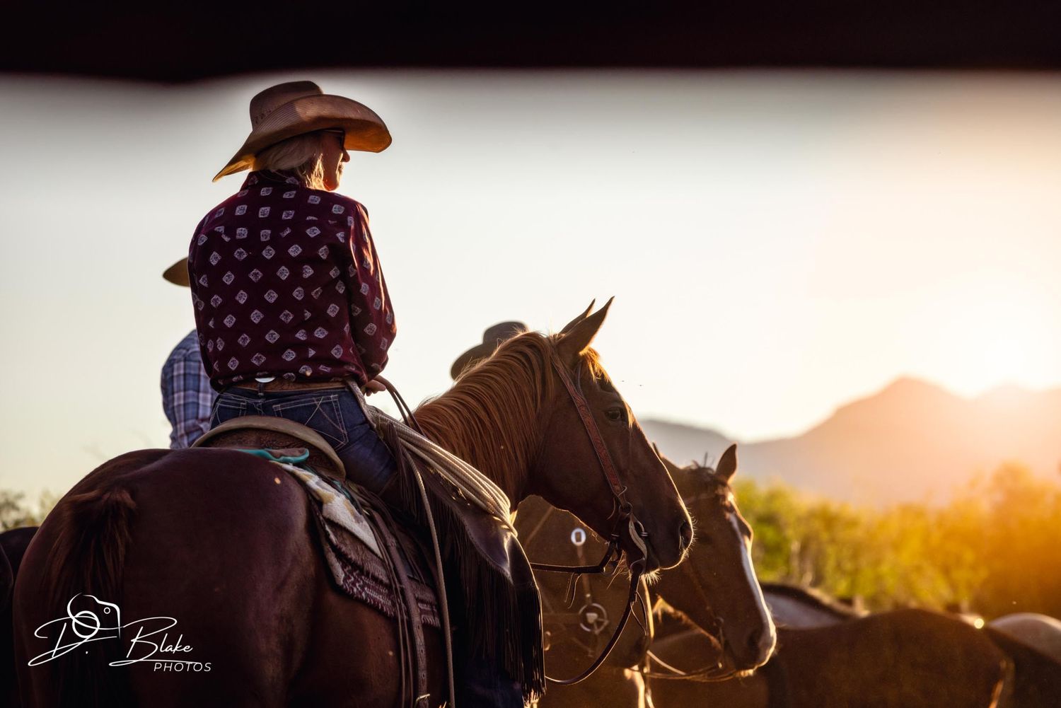 Silhouetted cowgirl on horseback riding against a golden sunset in western landscape.