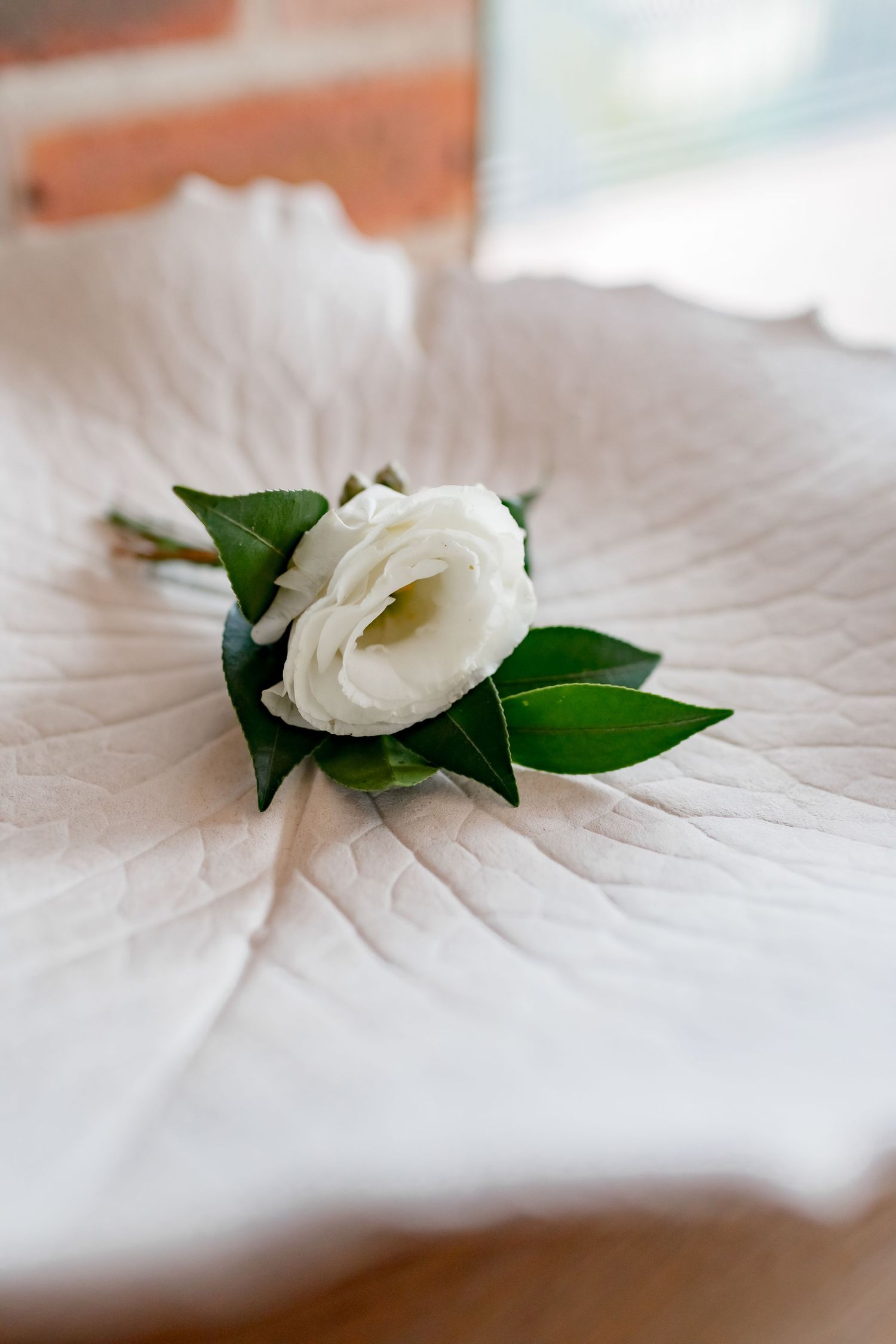 A single white rose boutonniere with green leaves on a white textured surface.