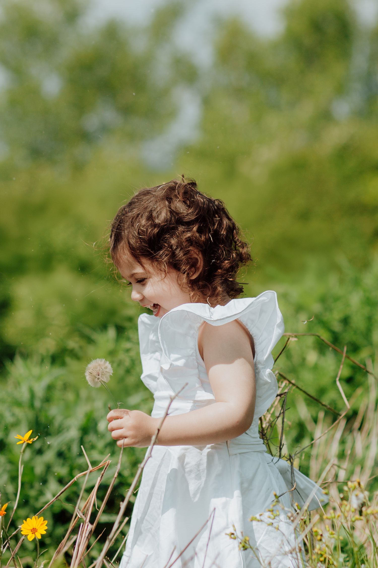 Young child in white dress holding a dandelion in a sunny meadow with wildflowers.