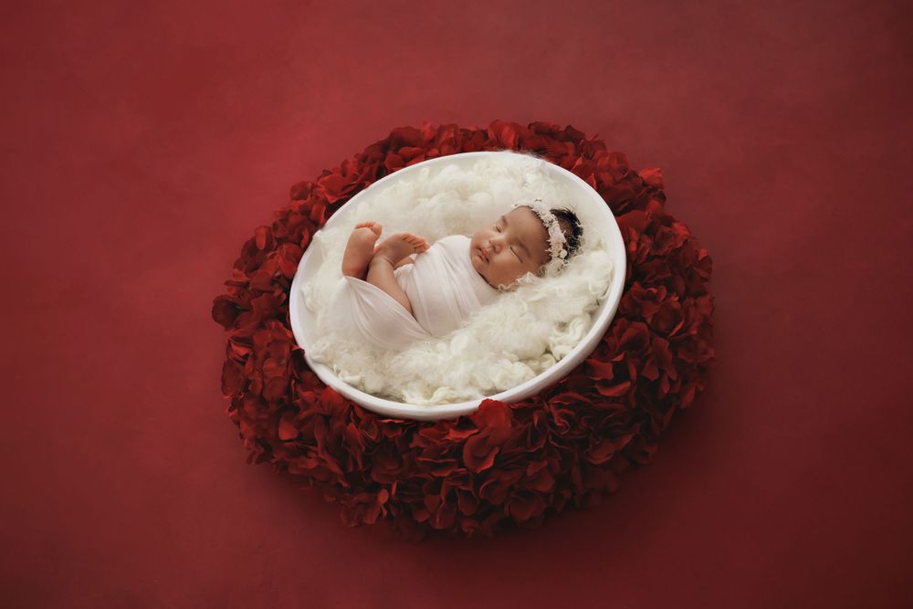 A newborn baby sleeping peacefully in a white-lined bowl surrounded by deep red roses. Professional newborn photographer, Townsville, QLD