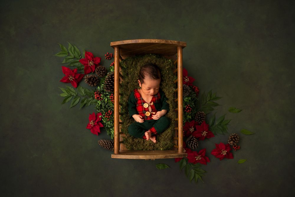 Baby in wooden crate surrounded by red flowers against dark green background.