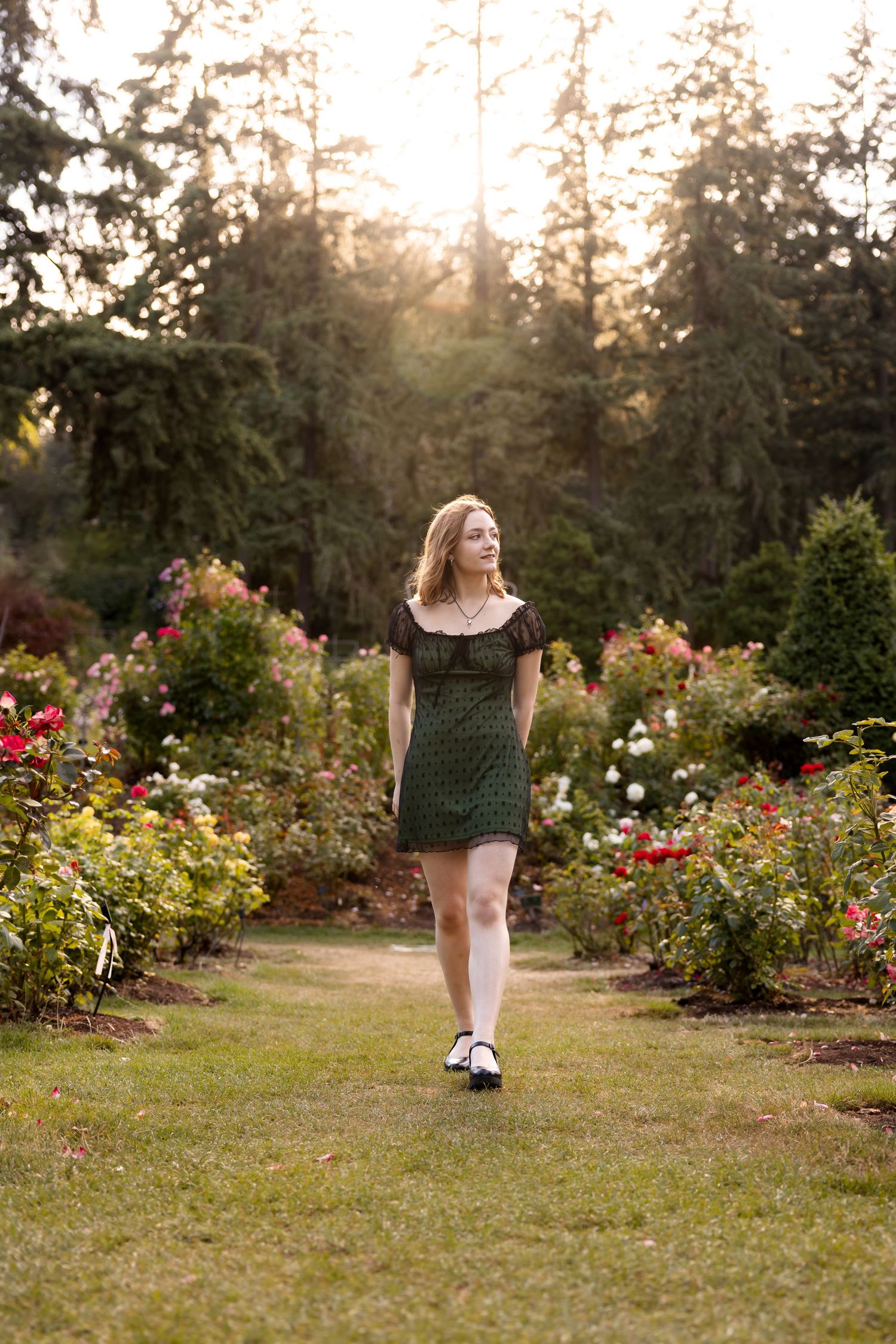 A person in a green dress walks along a garden path surrounded by blooming roses at golden hour.