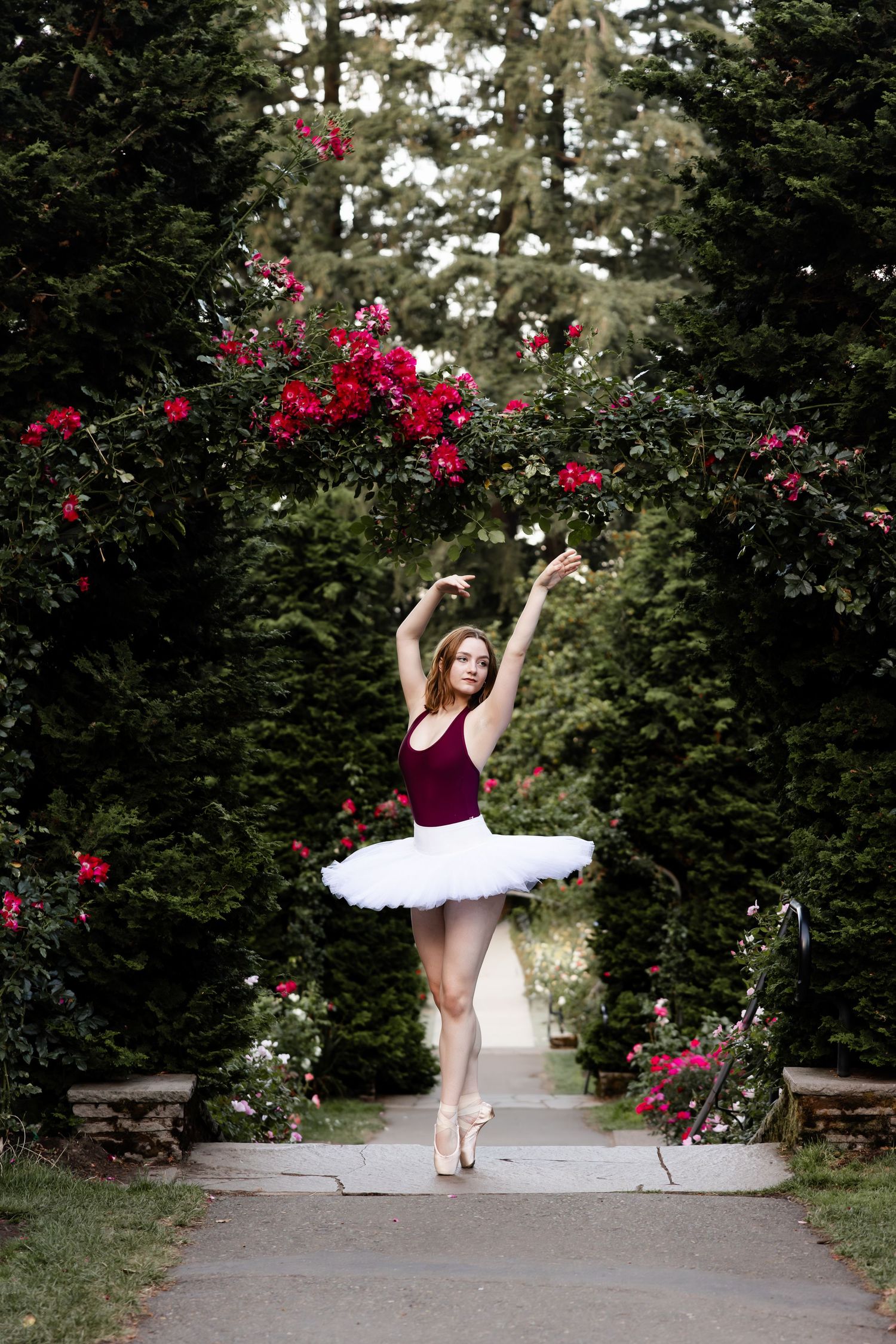 Dancer in burgundy leotard and white tutu performs graceful ballet pose under archway of red climbing roses and evergreens.