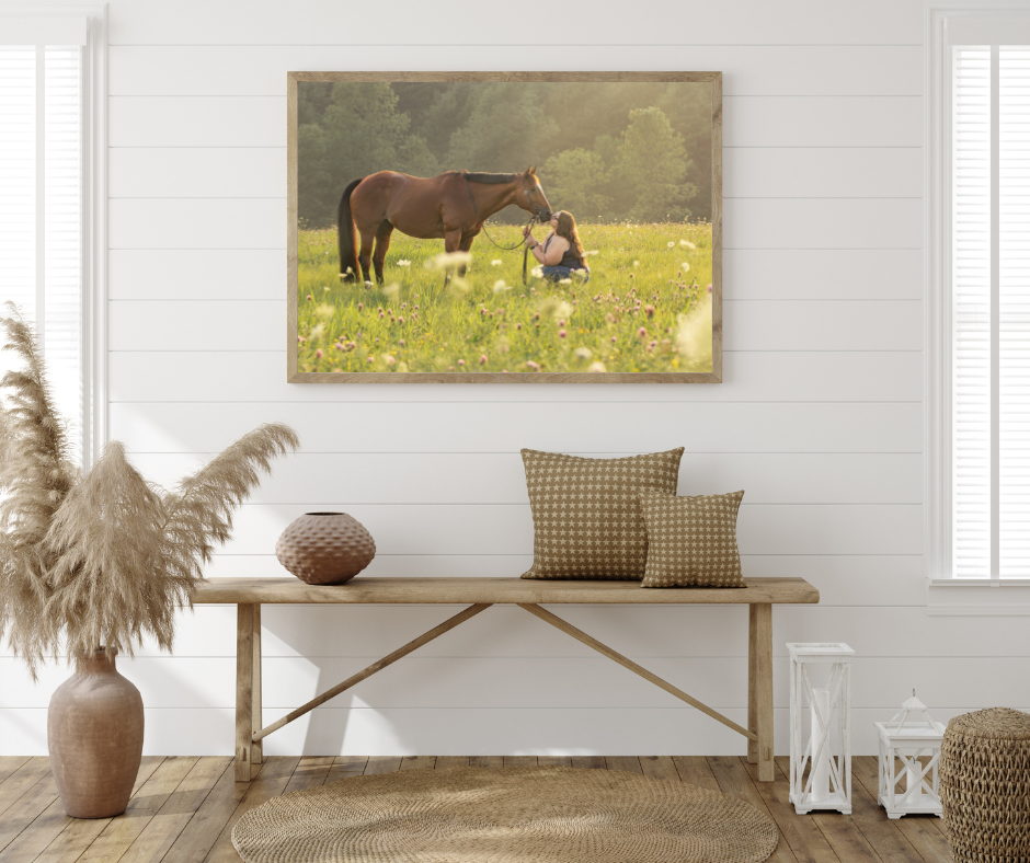 A modern minimalist living room featuring a horse and rider portrait above a wooden bench with decorative pillows.