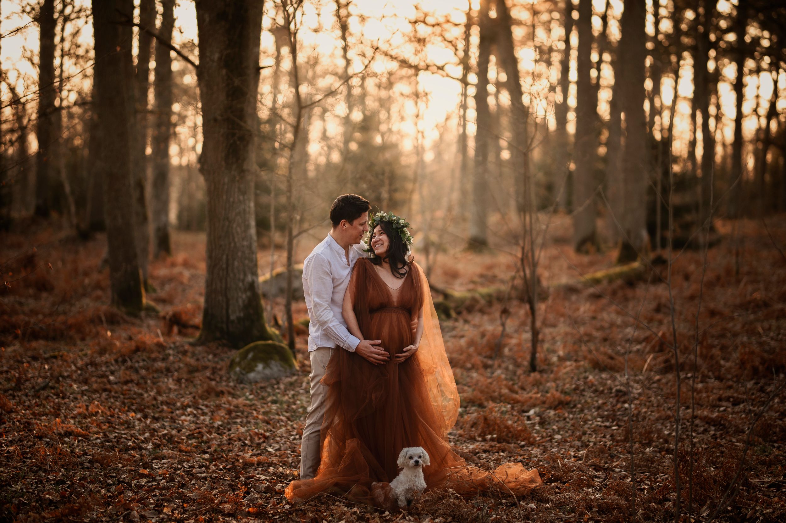 Couple embraces in a sunlit autumn forest with warm golden light filtering through the trees at sunset.