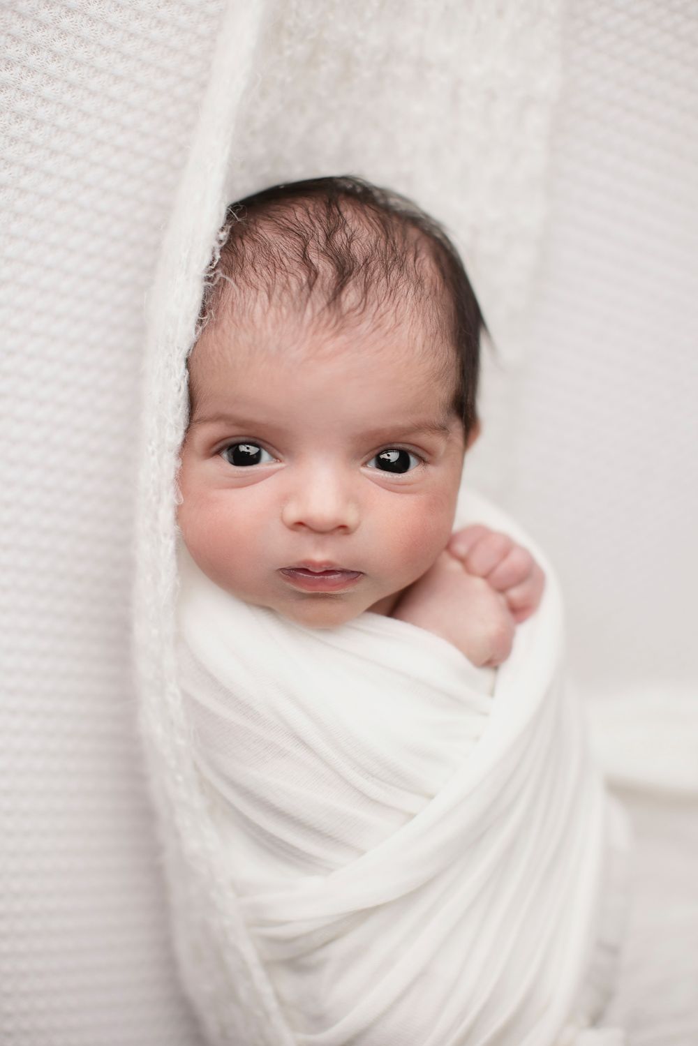 Awake newborn babies Elizabeth Lang Photography