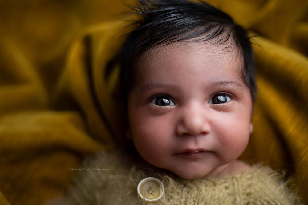 Awake newborn babies Elizabeth Lang Photography