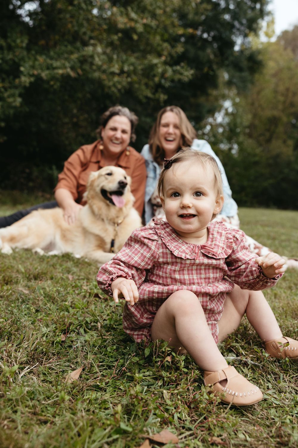 A series of candid outdoor family photos showing joyful moments with a baby and golden retriever on grass.