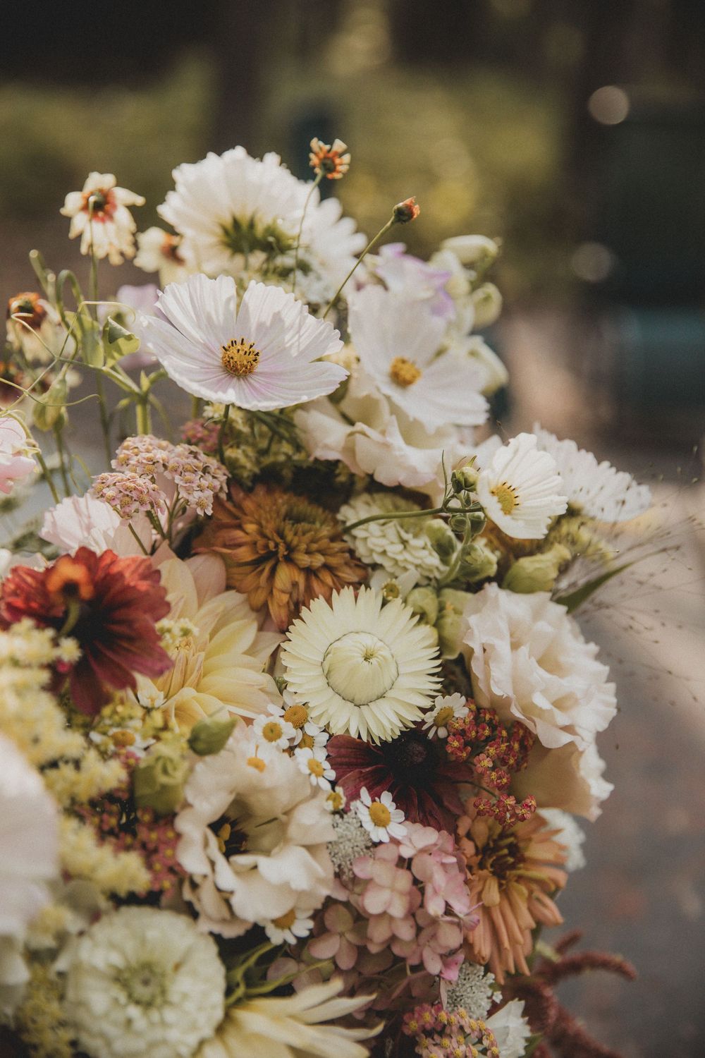 A romantic arrangement of white cosmos flowers and delicate blooms in soft pastel colors with sunlit bokeh effect.