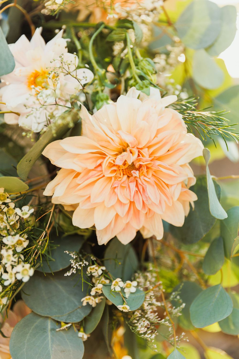 Close-up of a peachy-pink dahlia bloom with delicate baby's breath and eucalyptus leaves.