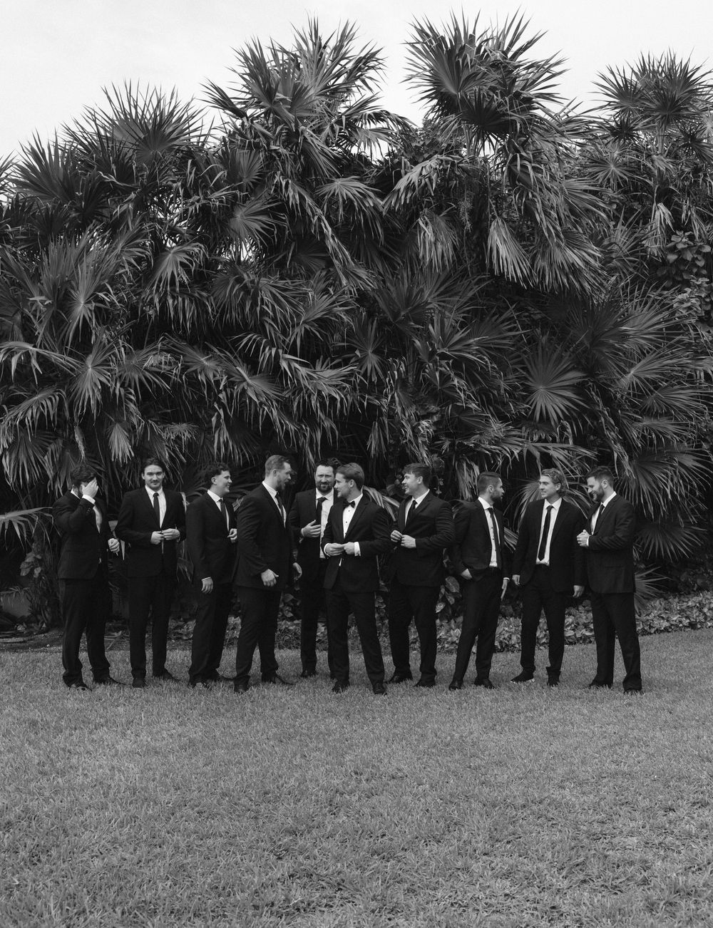 Groomsmen in black suits and ties line up for formal photo against palm tree backdrop.